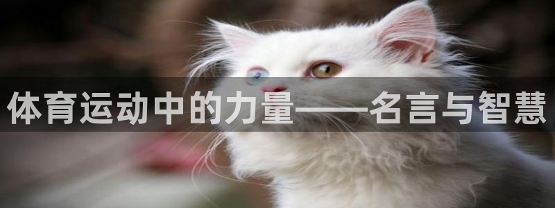 MK体育官网下载开户:体育运动中的力量——名言与智慧