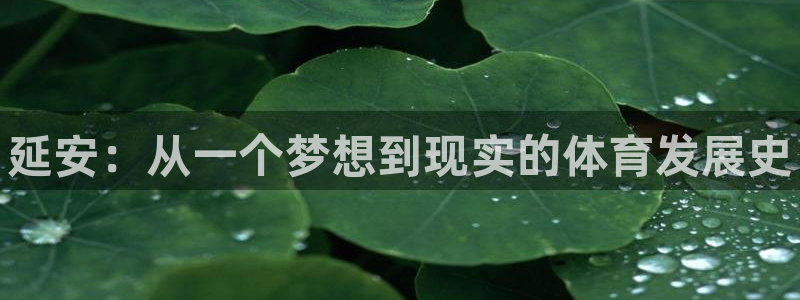 MK体育官网下载招商电话号码是多少:延安:从一个梦想到现实的