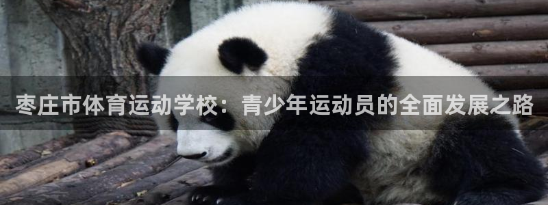 注册MK体育官方正版app:枣庄市体育运动学校:青少年运动员