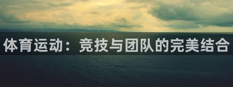 海南MK体育官网下载发展怎么样:体育运动:竞技与团队的完美结