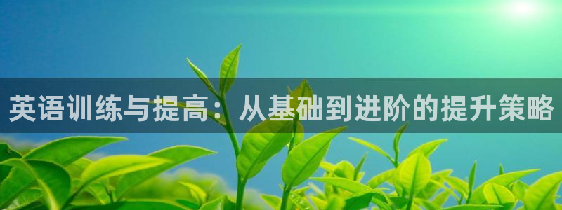 MK体育官方正版app集团logo:英语训练与提高:从基础到